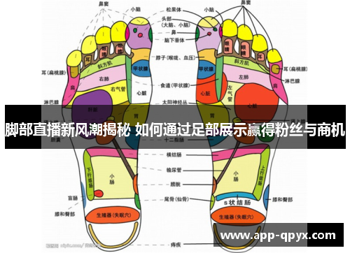 脚部直播新风潮揭秘 如何通过足部展示赢得粉丝与商机