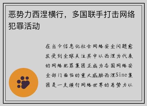 恶势力西涅横行，多国联手打击网络犯罪活动